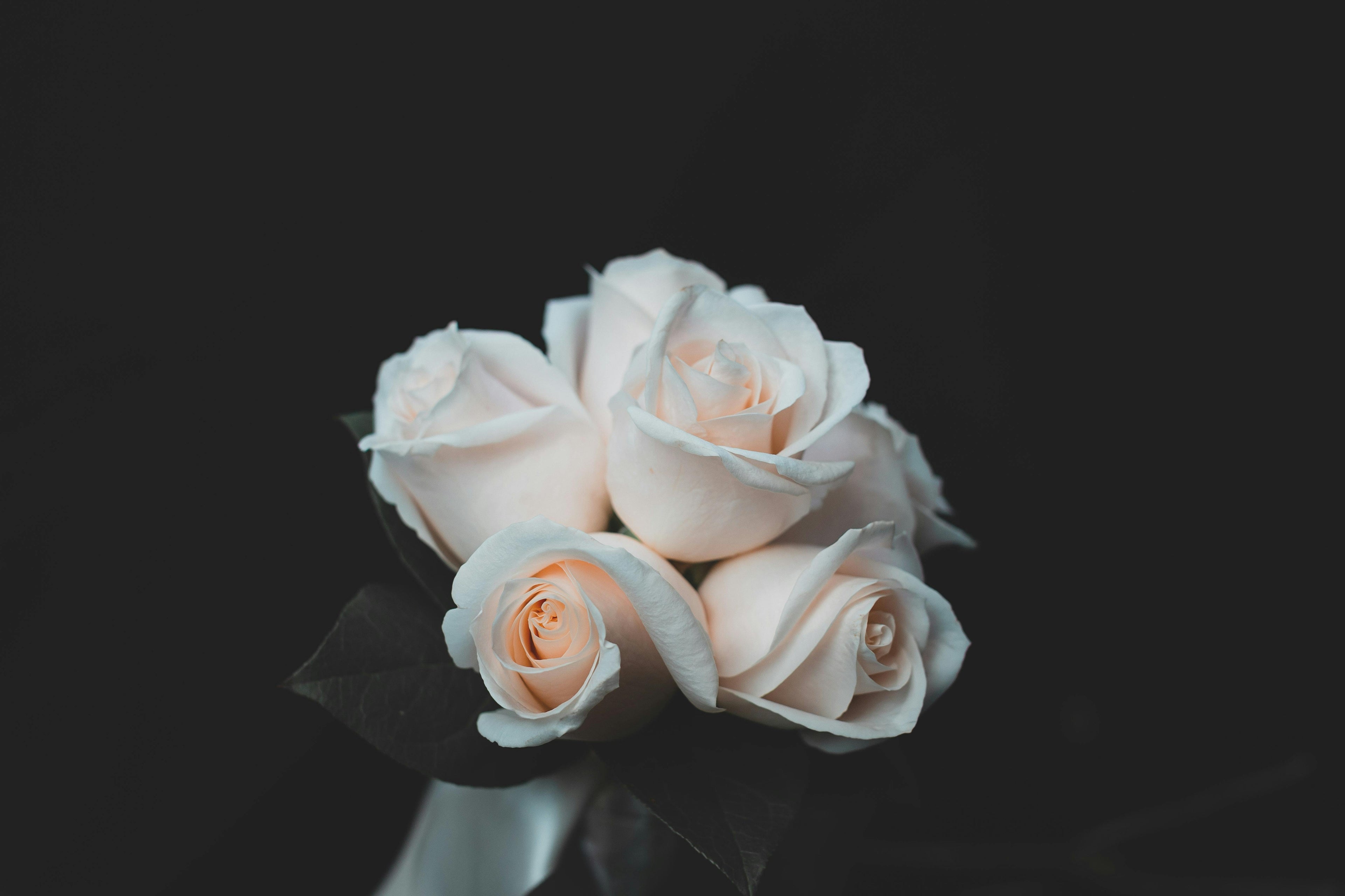 small bouquet of white roses