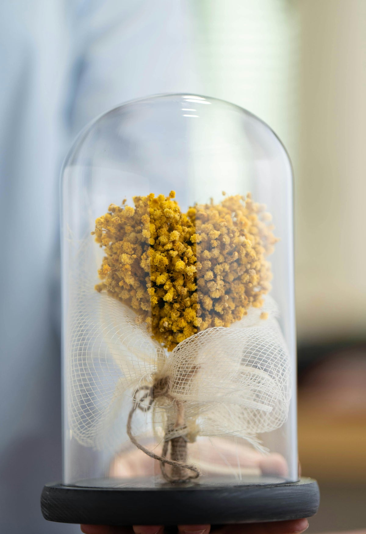 Preserved Flowers